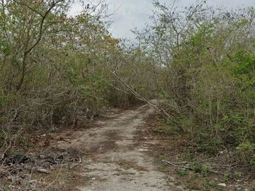 Se Vende Terreno Ideal Para Desarrollar Misnebalam.