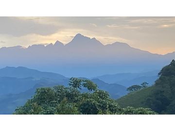 Venta finca en Venecia suroeste antioqueño