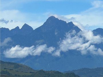 Venta finca en Venecia suroeste antioqueño