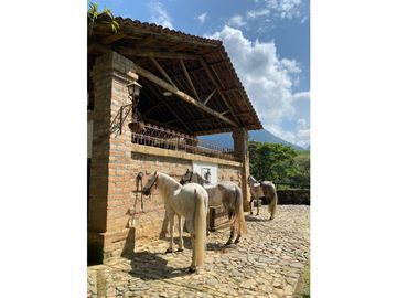 Venta finca en Venecia suroeste antioqueño