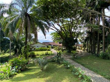Venta finca en Venecia suroeste antioqueño