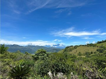 Venta finca en Venecia suroeste antioqueño