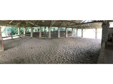 Venta finca en Venecia suroeste antioqueño