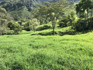 Venta Finca Fredonia - Suroeste Antioqueño