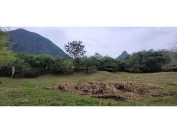 Venta finca en Venecia en el suroeste Antioqueño