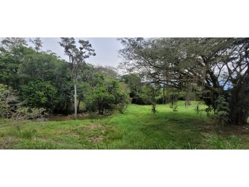 Venta finca en Venecia en el suroeste Antioqueño