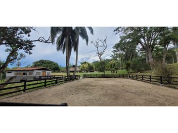 Venta finca en Venecia en el suroeste Antioqueño