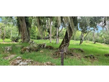 Venta finca en Venecia en el suroeste Antioqueño