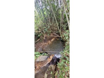 Venta finca en Venecia en el suroeste Antioqueño