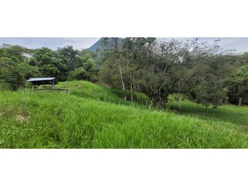 Venta finca en Venecia en el suroeste Antioqueño
