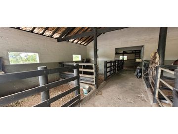 Venta finca en Venecia en el suroeste Antioqueño