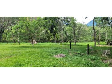 Venta finca en Venecia en el suroeste Antioqueño