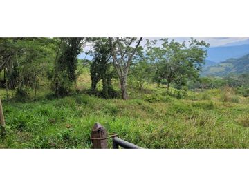 Venta finca en Venecia en el suroeste Antioqueño