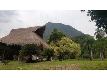 Venta finca en Venecia en el suroeste Antioqueño