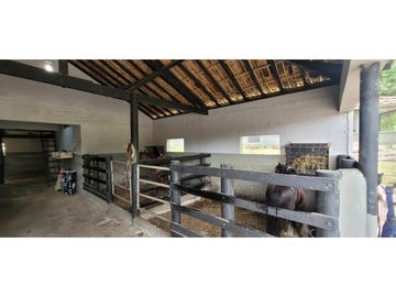 Venta finca en Venecia en el suroeste Antioqueño