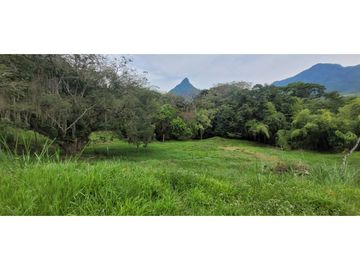 Venta finca en Venecia en el suroeste Antioqueño
