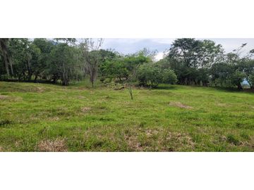 Venta finca en Venecia en el suroeste Antioqueño
