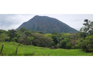 Venta finca en Venecia en el suroeste Antioqueño
