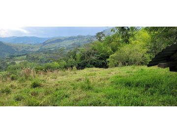 Venta finca en Venecia en el suroeste Antioqueño