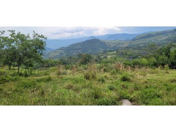 Venta finca en Venecia en el suroeste Antioqueño