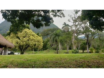 Venta finca en Venecia en el suroeste Antioqueño