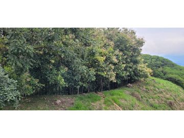 Venta finca en Venecia en el suroeste Antioqueño