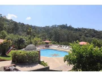 Venta finca Venecia en el suroeste antioqueño