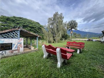 VENTA FINCA PRODUCTIVA EN CALARCA QUINDIO