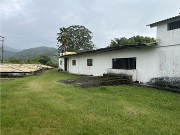 VENTA FINCA PRODUCTIVA EN CALARCA QUINDIO