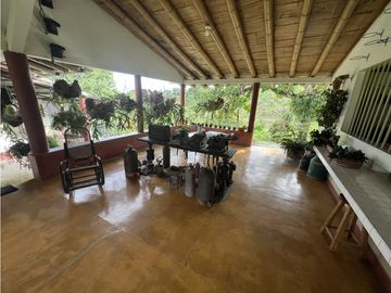 VENTA FINCA PRODUCTIVA EN CALARCA QUINDIO