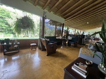 VENTA FINCA PRODUCTIVA EN CALARCA QUINDIO