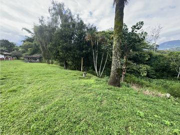 VENTA FINCA PRODUCTIVA EN CALARCA QUINDIO