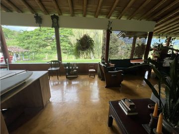 VENTA FINCA PRODUCTIVA EN CALARCA QUINDIO