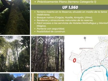 Sitio en Venta en Reserva Biológica Huilo Huilo