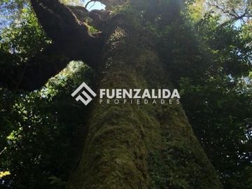 Parcela en Venta en Reserva Biológica Huilo Huilo