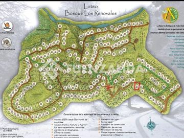 Terreno Construccion  en Venta en Reserva Biológica Huilo Huilo