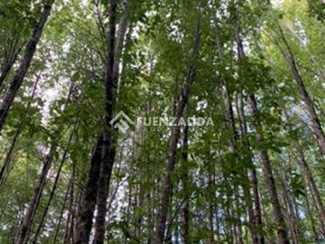 Terreno Construccion  en Venta en Reserva Biológica Huilo Huilo
