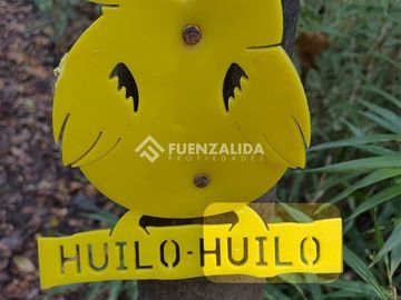 Terreno Construccion  en Venta en Reserva Biológica Huilo Huilo