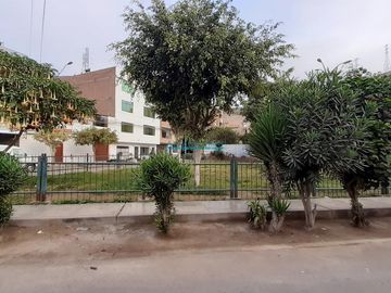 Terrenos Residenciales Venta CAL. 3 - LOS OLIVOS