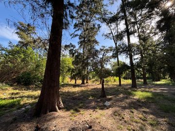 VENTA DE LOTE A METROS  ACCOESTE MORENO PERMUTA