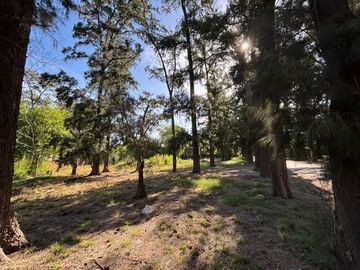 VENTA DE LOTE A METROS  ACCOESTE MORENO PERMUTA