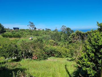 Sitio en Venta en Coliumo, Los Morros, Punta Talca