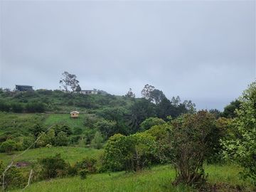 Sitio en Venta en Coliumo, Los Morros, Punta Talca