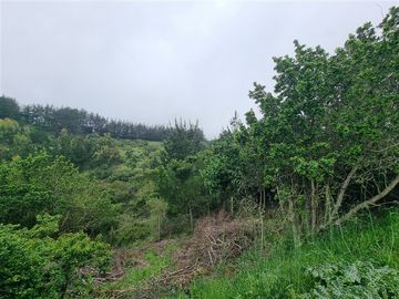 Parcela en Venta en Coliumo, Los Morros, Punta Talca