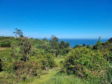 Parcela en Venta en Coliumo, Los Morros, Punta Talca