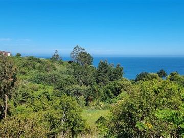 Terreno Construccion  en Venta en Coliumo, Los Morros, Punta Talca