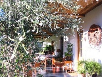 Parcela en Venta en Chacra Santa Aurelia El Bajo Melipilla