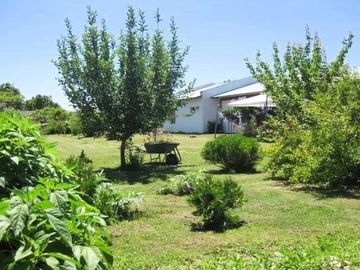 Parcela en Venta en Chacra Santa Aurelia El Bajo Melipilla