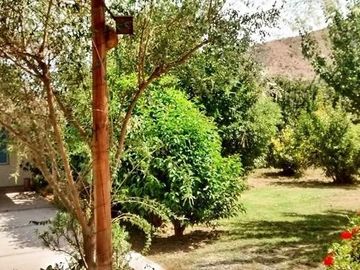 Parcela en Venta en Chacra Santa Aurelia El Bajo Melipilla