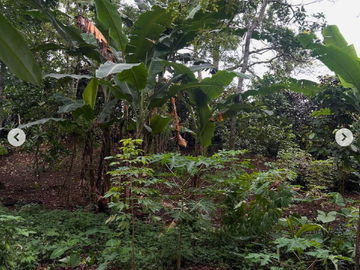 FOR SALE: 2,500 SQM Lot in Tagaytay – ₱13,500/sqm